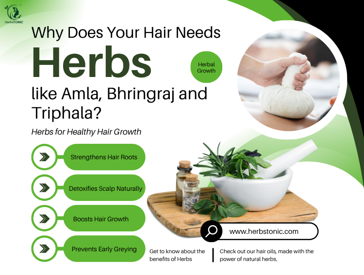 Why Does Your Hair Oil Need Herbs Like Amla, Bhringraj & Triphala?
