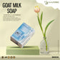 A goat milk soap with whitening  and anti-wrinkling providing complete body care solution by Herbstonic a natural skincare products brand.