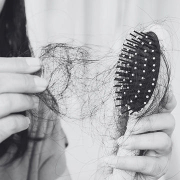 An image of a comb with hairs on it, as it is showing hairfall. for this we have Herbstonic Hair Oil for Black Hair.